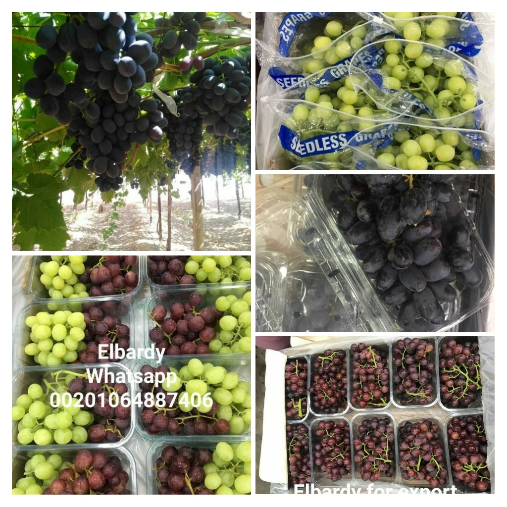 Our product deserve buyng for those reasons