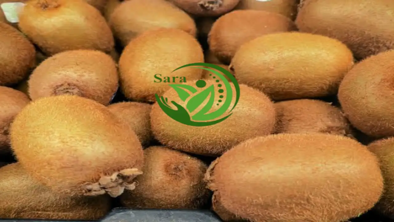 Fresh Kiwi Export from Egypt
